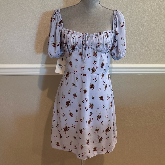 ARITZIA Sunday Best Rachel Dress - Floral Mini - NWT - Picture 1 of 9